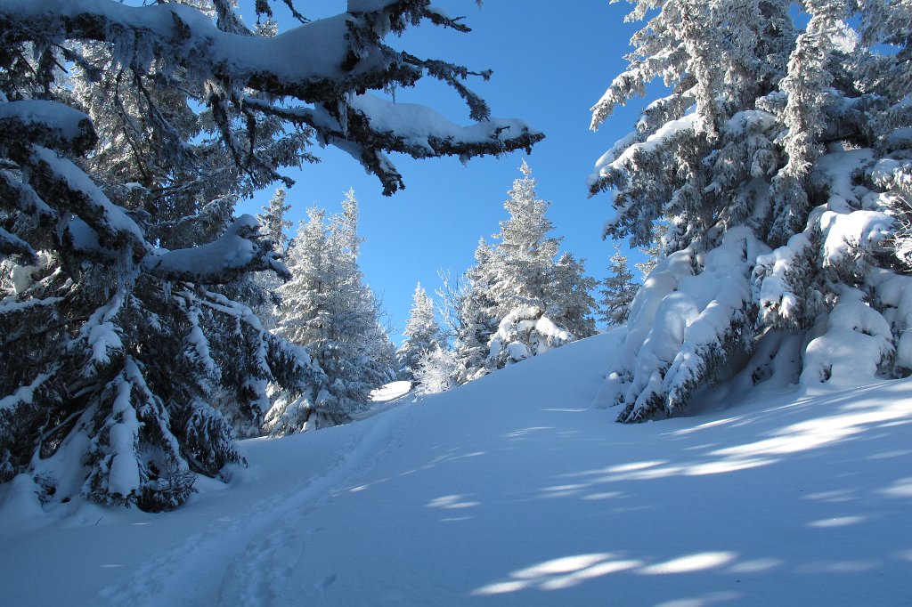 11 schon im oberen Teil.JPG